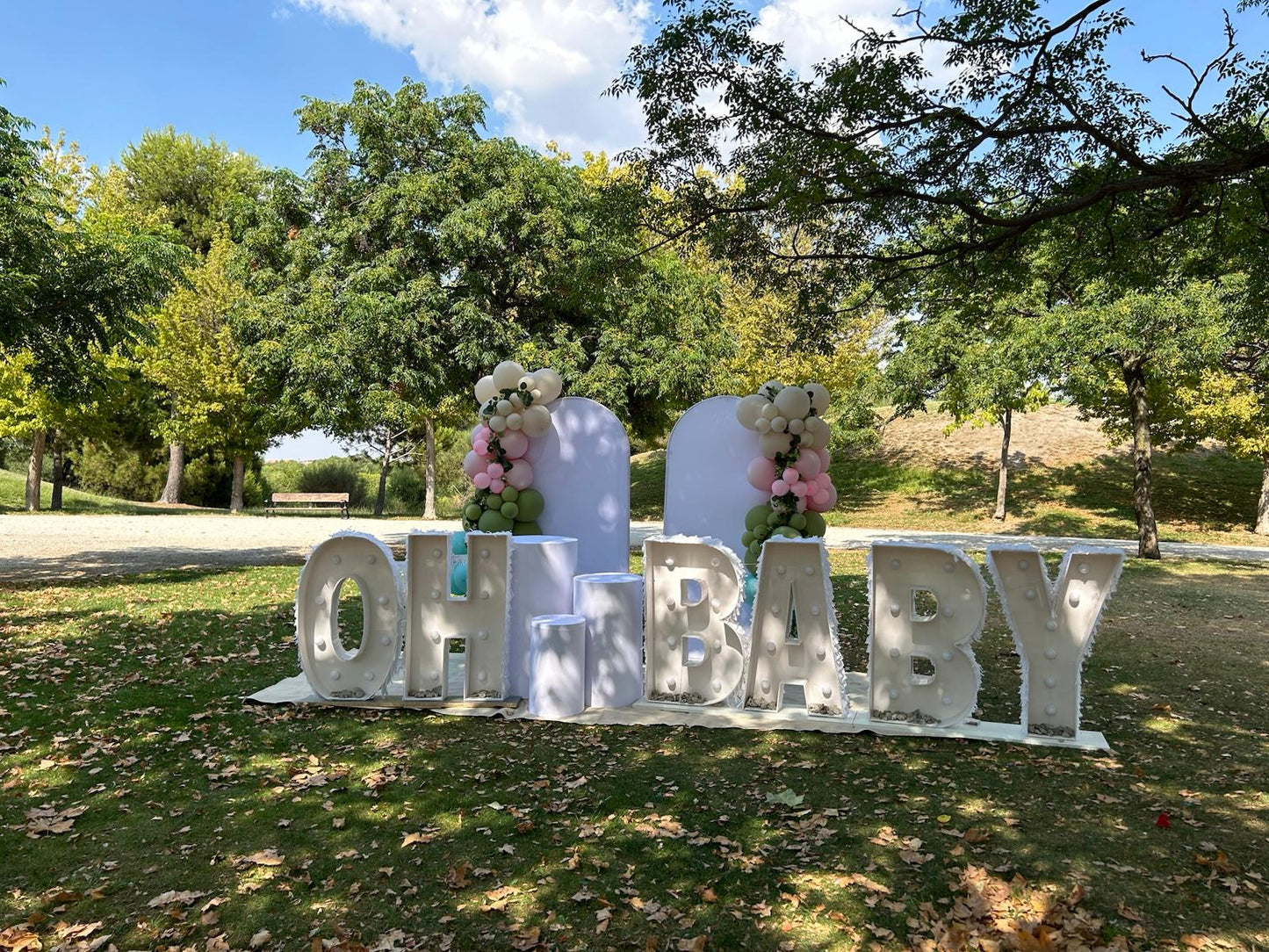 Decoraciones para Revelación de Sexo y Baby Shower
